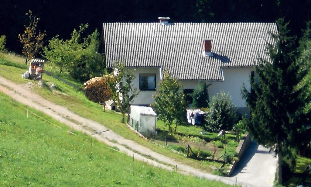 Morilcu Francu so enkrat že zasegli orožje